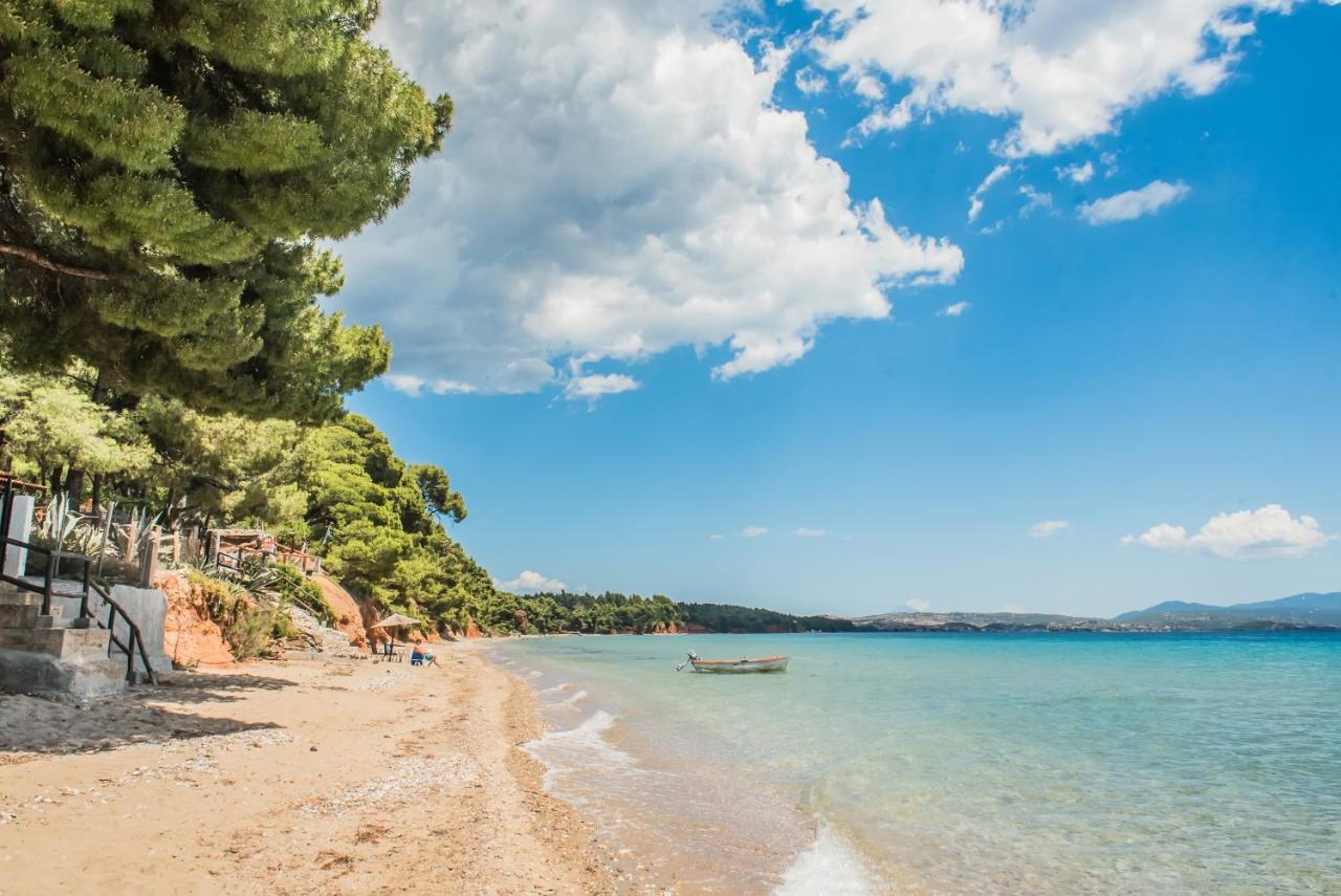Citro By The Sea Hotel Metamorfosi  Bagian luar foto