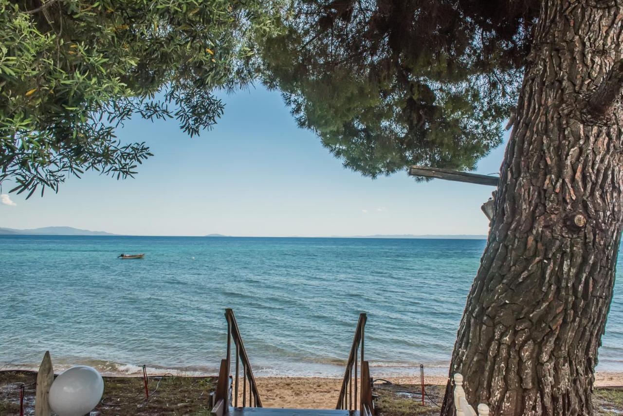 Citro By The Sea Hotel Metamorfosi  Bagian luar foto